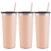 The Insulated Stainless Steel Tumblers Set