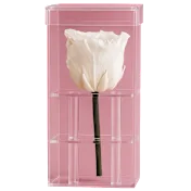 The "Happy Anniversary" Rose in White
