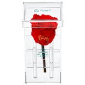 The Crystal-Encased Preserved Rose