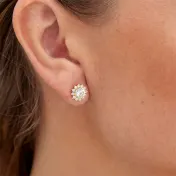 The Brilliant Halo Moissanite Stud Earrings