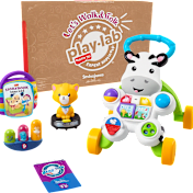 The Fisher-Price Walk & Talk Activity Set