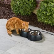 The Heated Outdoor Cat Bowls