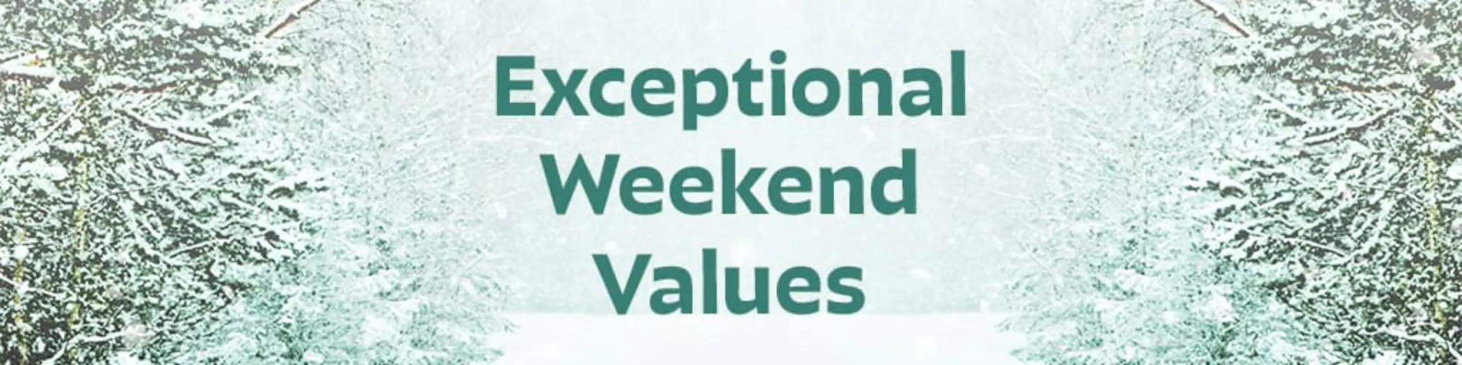 Exceptional Weekend Values banner