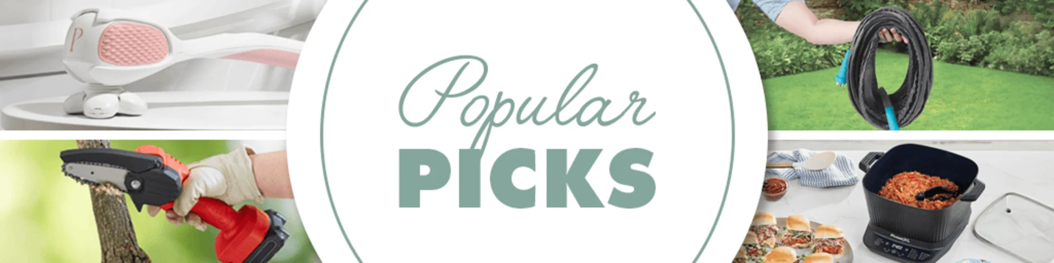 Popular Picks banner
