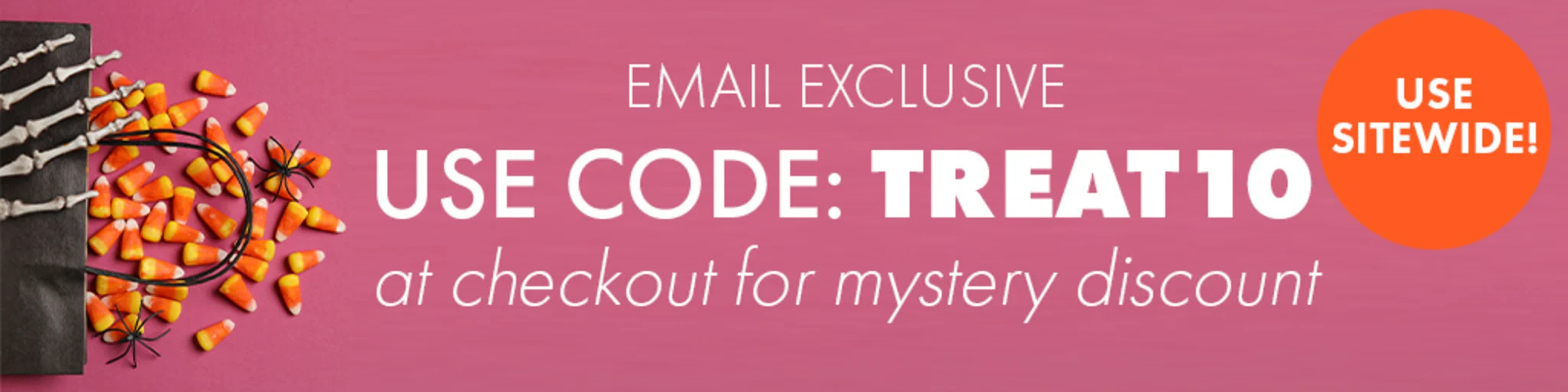 Email Exclusive Hidden Discount banner
