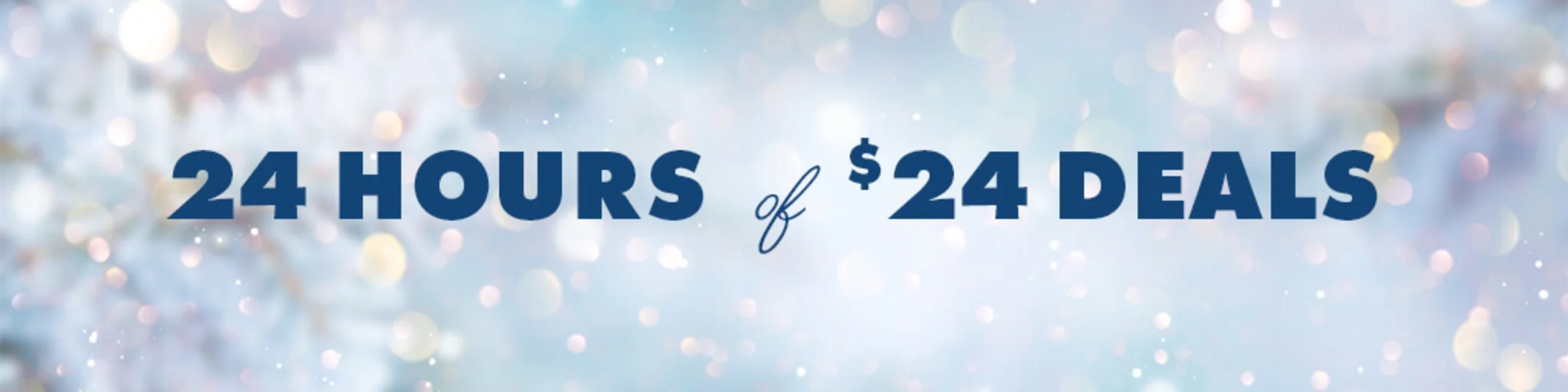 24 Hours of $24 Deals banner