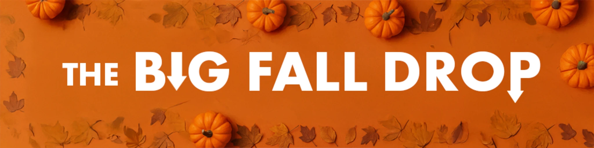 The Big Fall Drop banner