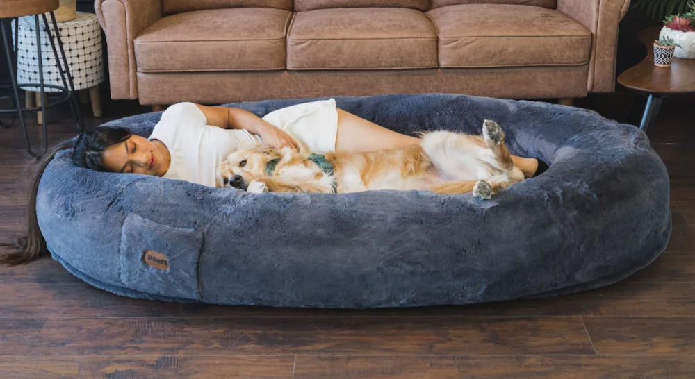 The Dog Bed for Humans