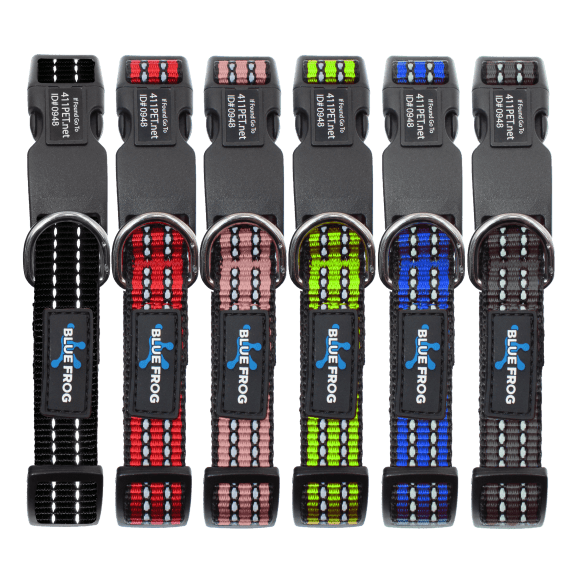 Morningsave dish cheap nation earbuds