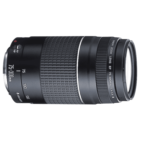 Canon EOS Rebel T6 DSLR with EFS 1855mm Lens and EF 75300mm Zoom Lens