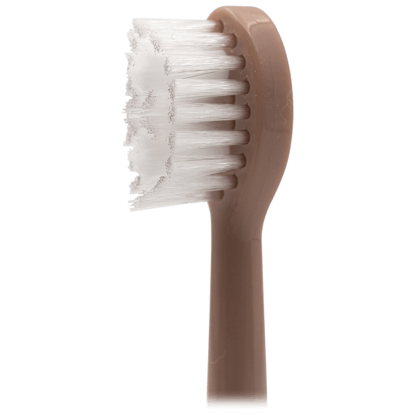 Meh Spotlight Oral Care Professional Clean Sonic Toothbrush with 6