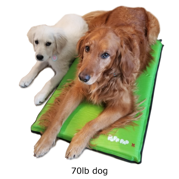 Meh Hugs Puff Pad SelfInflating Pet Bed