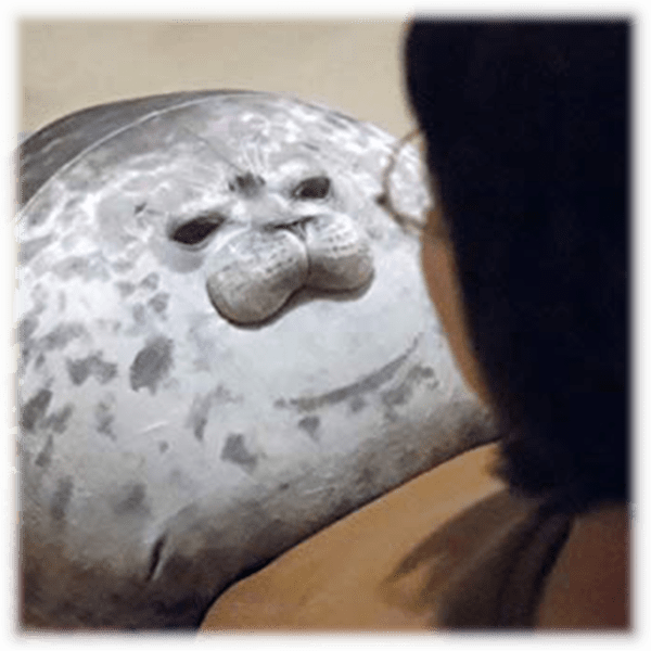 blob seal pillow