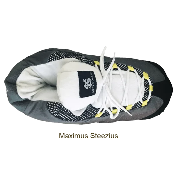 Kozy on sale soles slippers