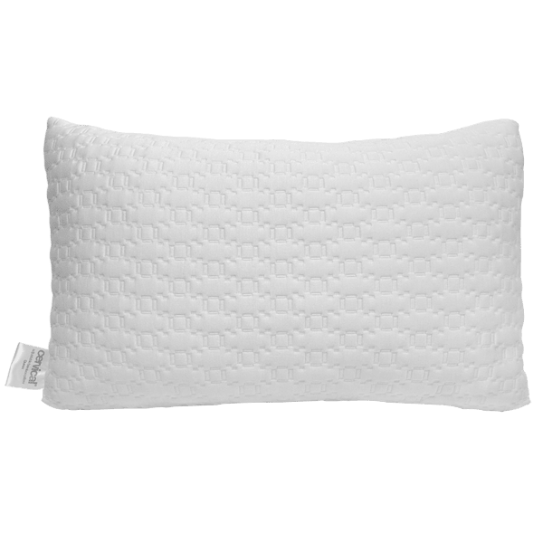 Meh 2Pack Bed & Brand Adjustable Bamboo Pillows