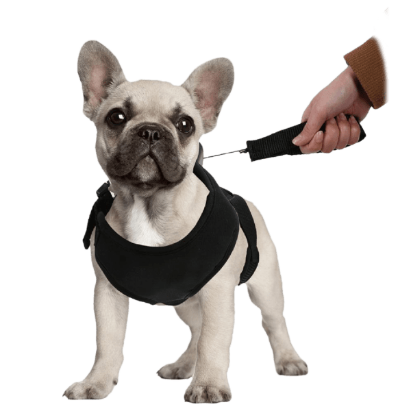 Meh 2forTuesday 2in1 Lucky Leash Retractable Dog Harnesses/Leashes