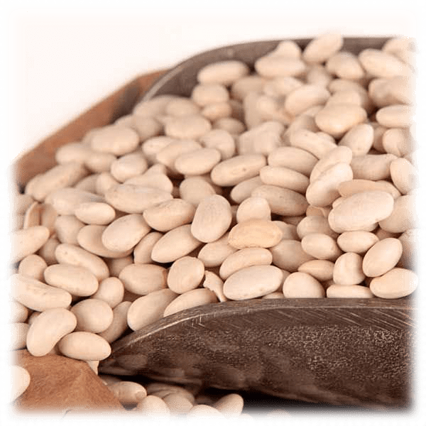 25lb Case of Packer Dried Beans (Great Northern or Navy)