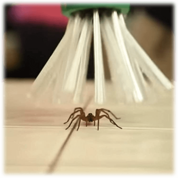 Meh 2Pack My Critter Catcher 26" Long Spider and Insect Catcher