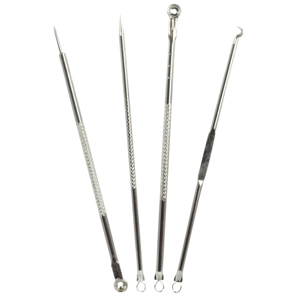 Meh Ecobloom Spa Facial Beauty Steamer with Blackhead Extractor Kit