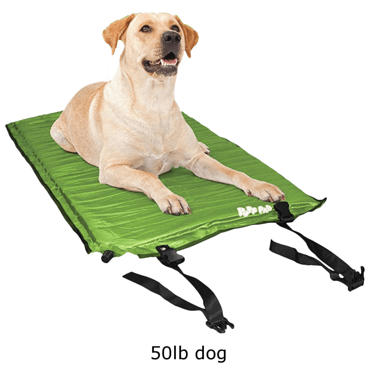 self inflating dog bed