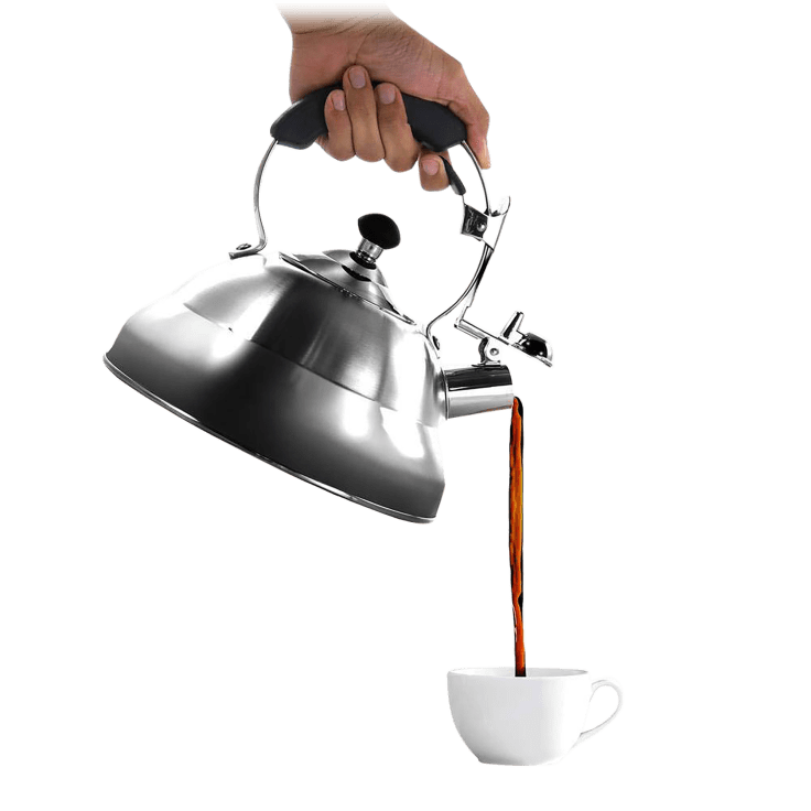 Willow & Everett Whistling Kettle, Tea Pots for Stovetop - Stainless Steel  Teapot with Infuser for Loose Leaf Tea, 2.75 Liters 