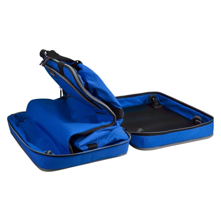 biaggi luggage deals and steals