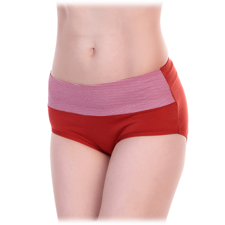 Morningsave 12 Pack Angelina Cotton High Waist Panties With Stripe Print Accent