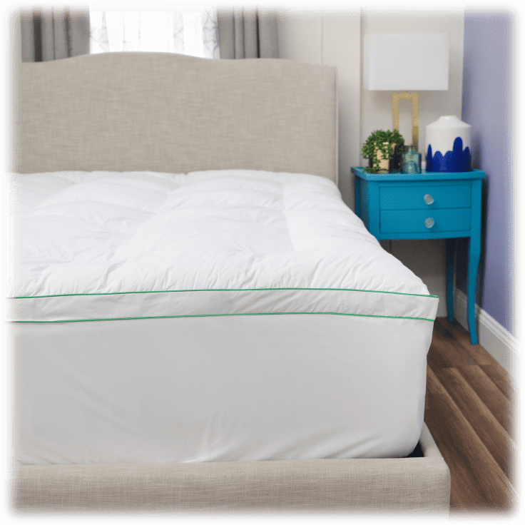 MorningSave BioPEDIC Fresh and Clean 2.5Inch Down Alternative