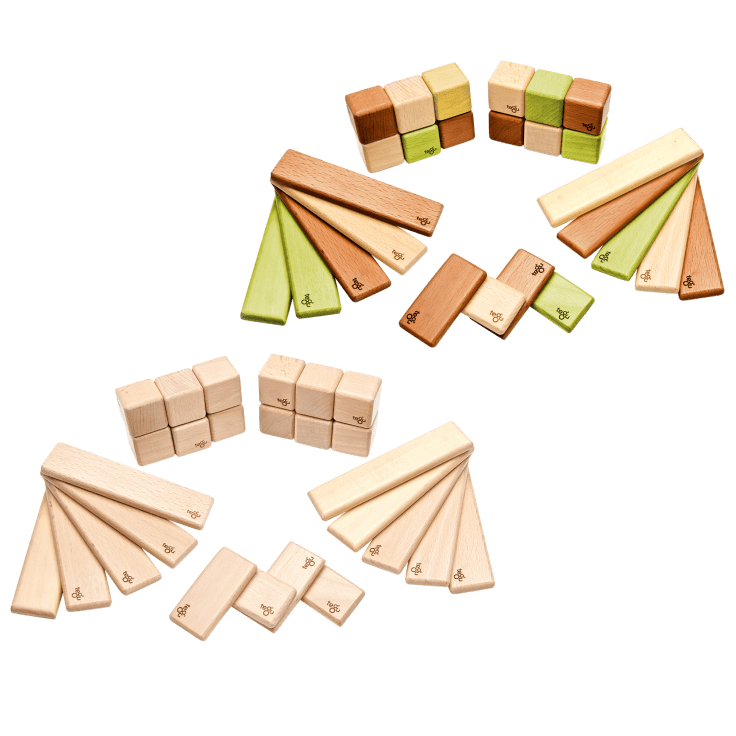 tegu discovery set