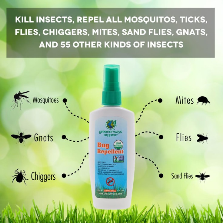home bug repellent