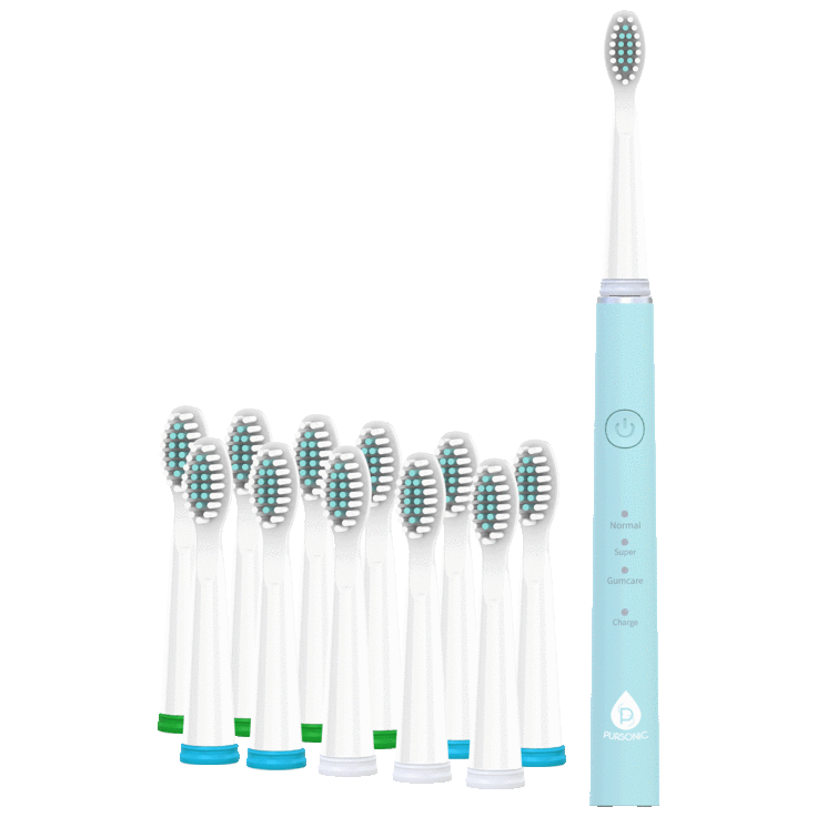 MorningSave Pursonic USB Rechargeable Sonic Toothbrush with 12 Brush Heads