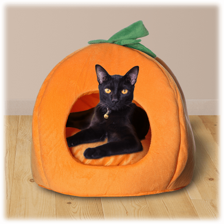 MorningSave WagsNWhiskers "Skellington" Pumpkin Pet Bed