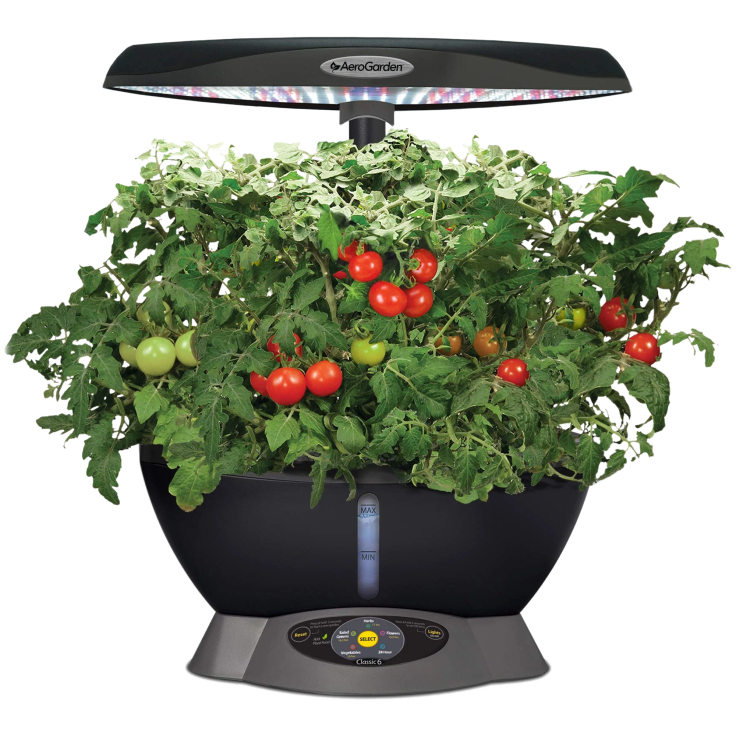 Making Salsa With Fresh Tomatoes From The Aerogarden Salsa Kit