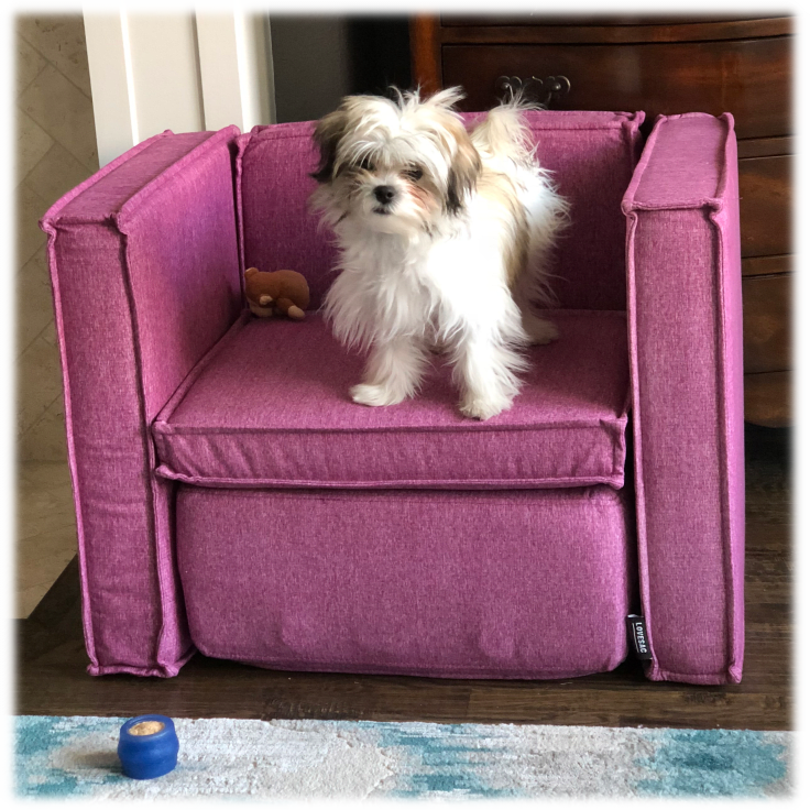 MorningSave Lovesac Modular Sactionals for Kids & Pets