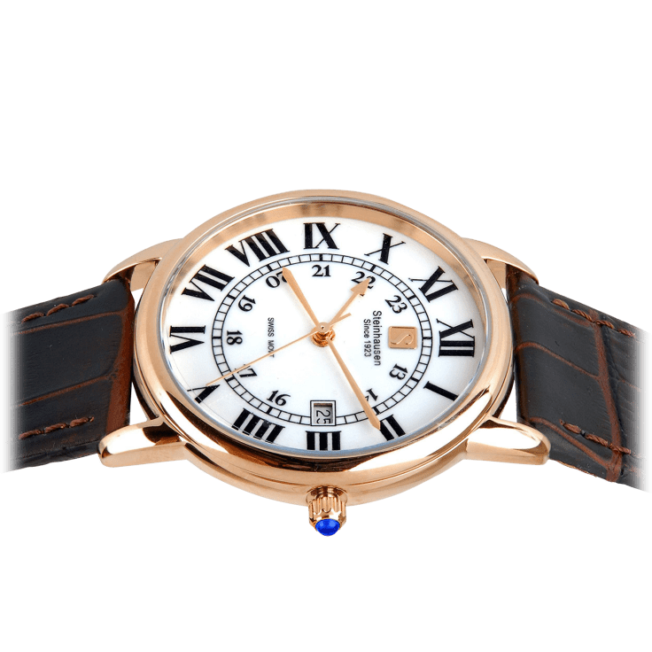 MorningSave Men's "Delemont" Swiss Quartz Watches by Steinhausen