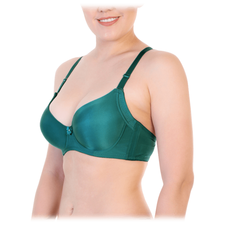 MorningSave: 6-Pack: Angelina Wired Padded T-Shirt Bras with Wide