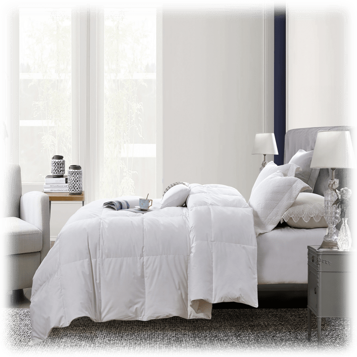 MorningSave Martha Stewart 240 Thread Count White Goose Feather & Down