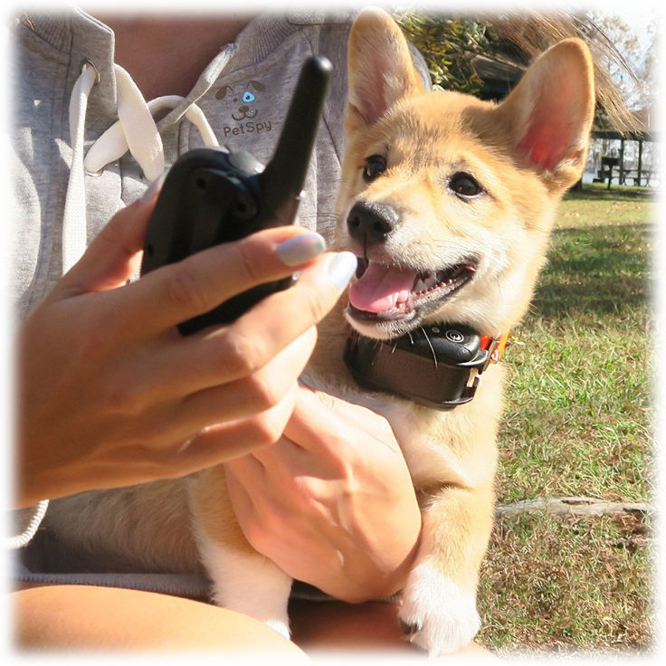 Petspy m86n online