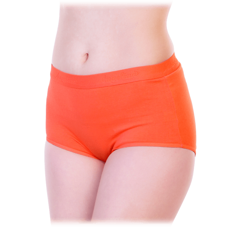MorningSave 6Pack Angelina Cotton High Waist Panties with Elastic