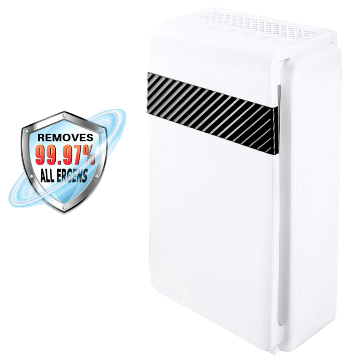 Secura true hepa air purifier sale