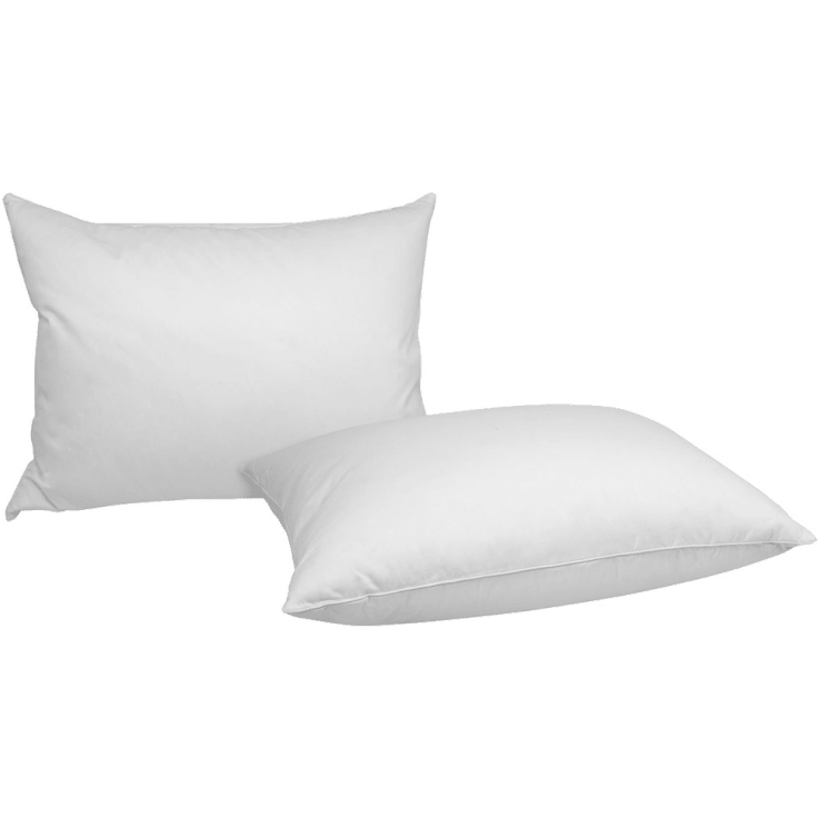 MorningSave 2Pack iEnjoy Home Down Pillows