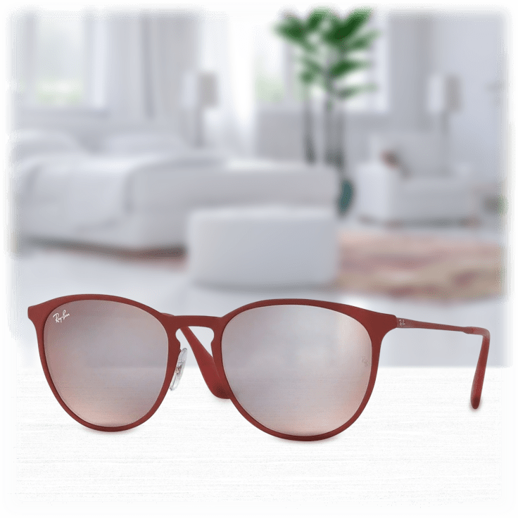 Ray-Ban Erika Metal Sunglasses with 