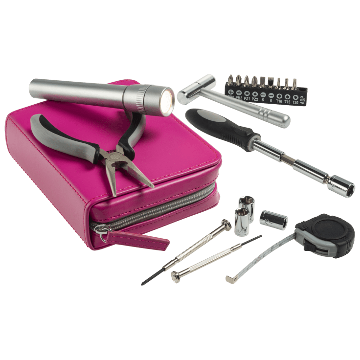 Brouk & Co . Fix-It Kit (Fuchsia)