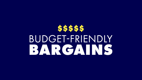 Budget-Friendly Bargains