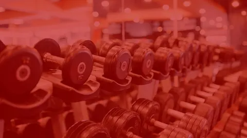 Fitness Gear for Fitness Fiends