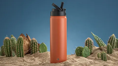 Oferta del Día