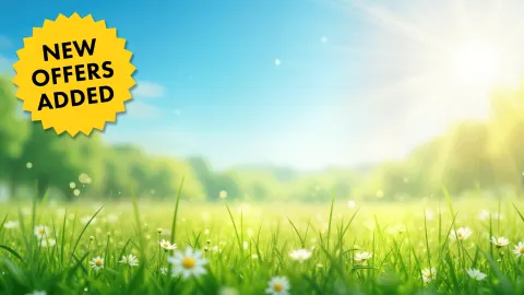 Spring Has Entered the Chat