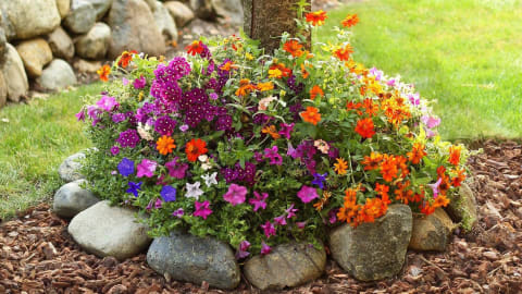 Gardening Deals with Touch Of Eco