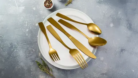 Home & Hosting Steals