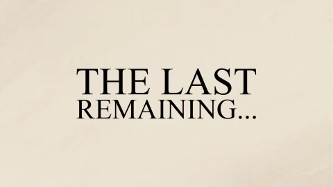 The Last Remaining